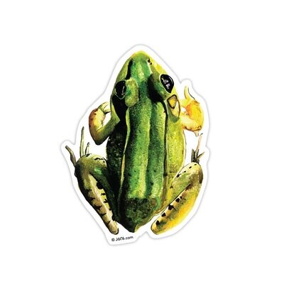 Frog Vinyl Sticker (RE-ST-001)