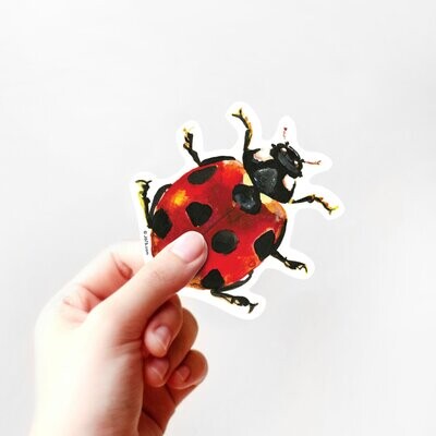 Ladybug Vinyl Sticker (IN-ST-001)