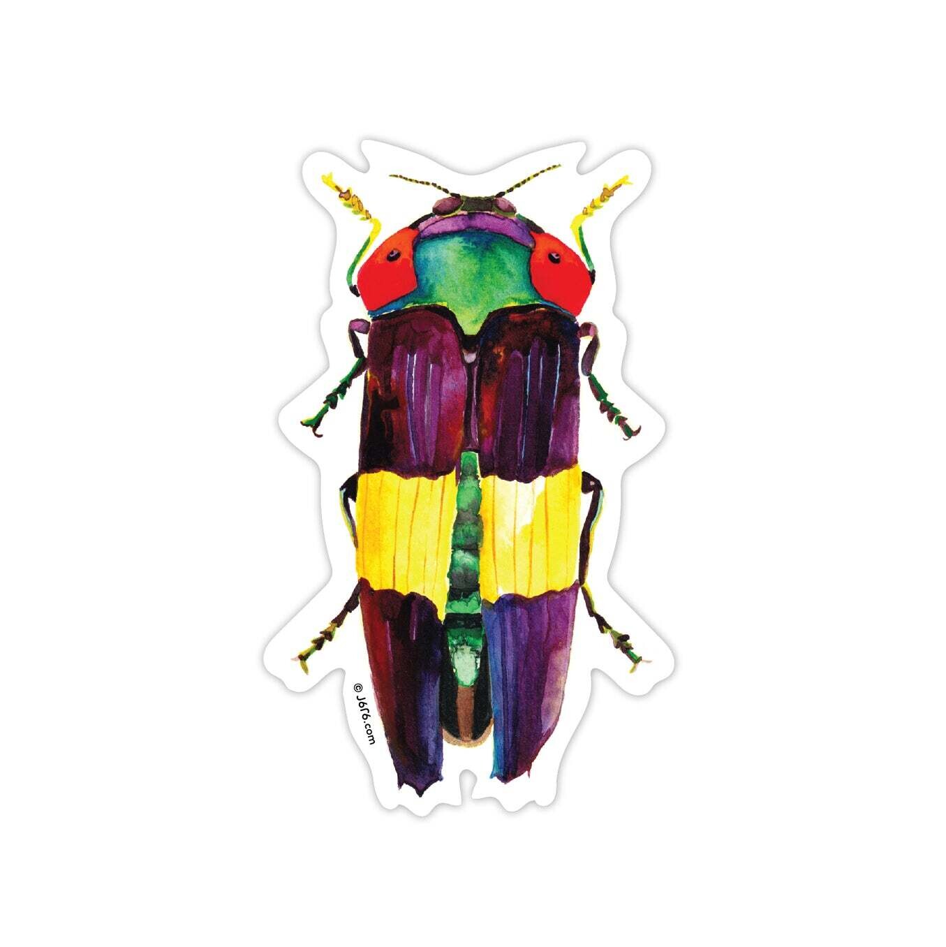 Jewel Beetle Rainbow Sticker (IN-ST- 006)