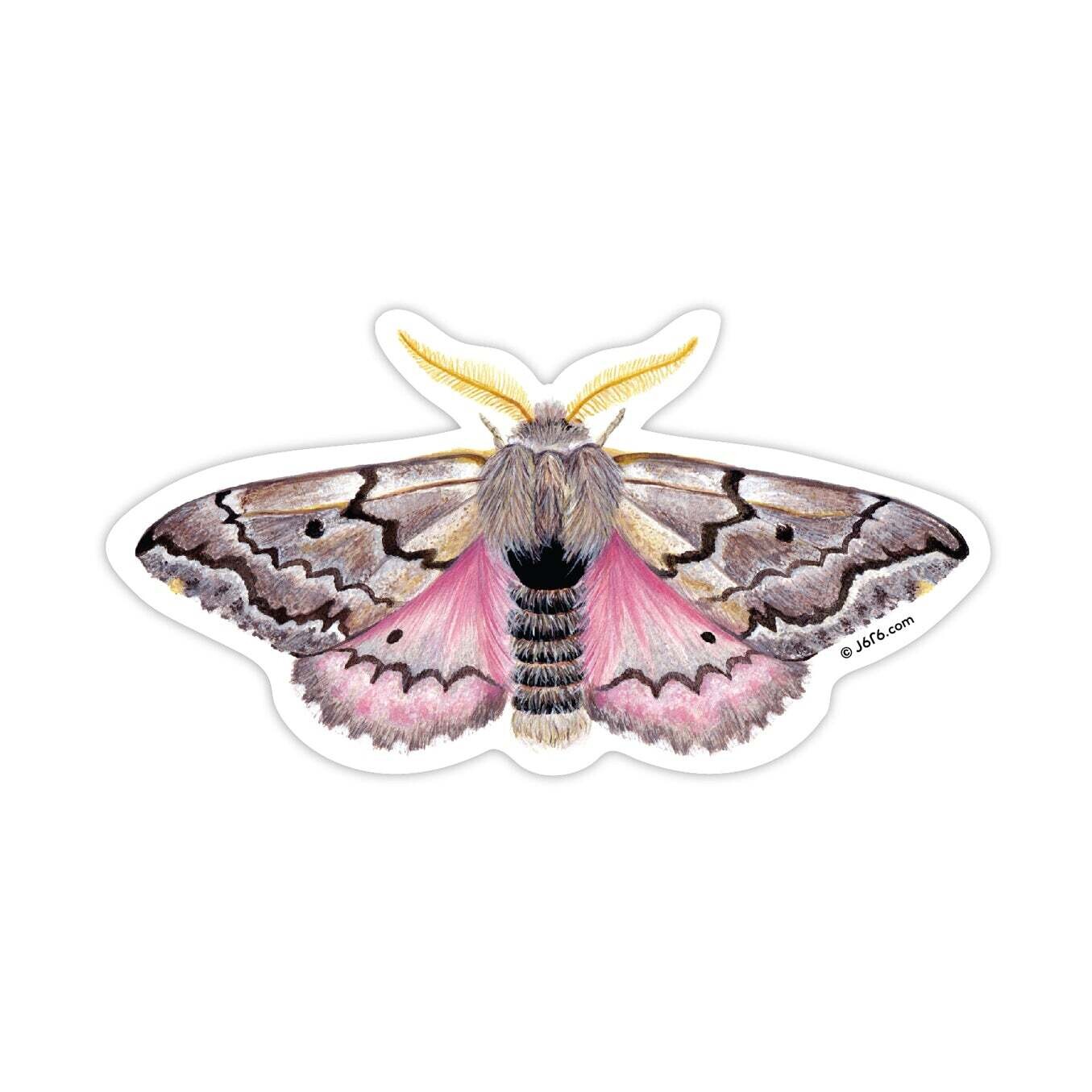 Moth #8 Vinyl Sticker (MO-ST-008)