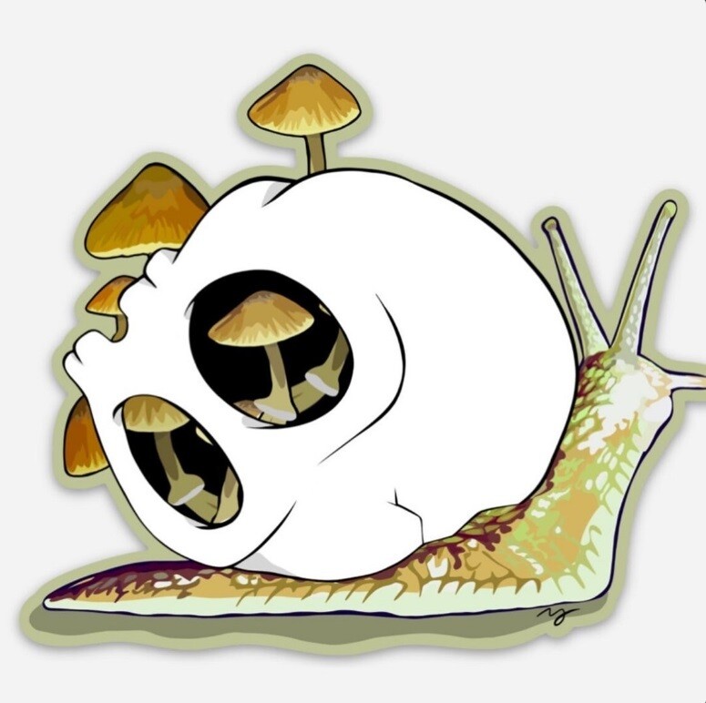 4&quot; Waterproof Vinyl Sticker - Snail Skull