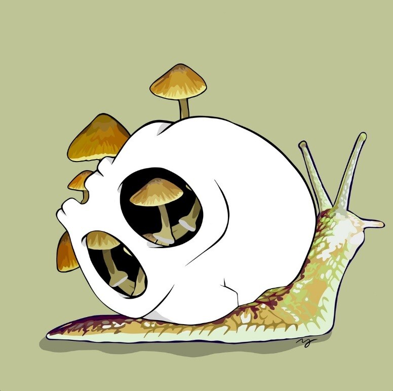 8&quot;x8&quot; Print - Snail Skull
