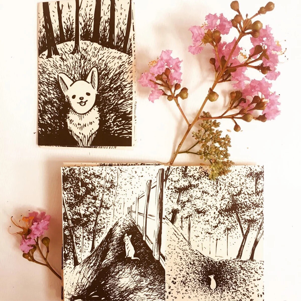 Amber Zine
