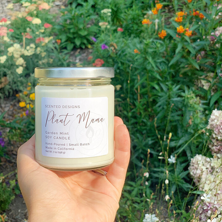 Signature Jar Candle - Plant Mama (Mint)
