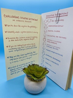 Me &amp; My Baboon Brain, Self Care Journal