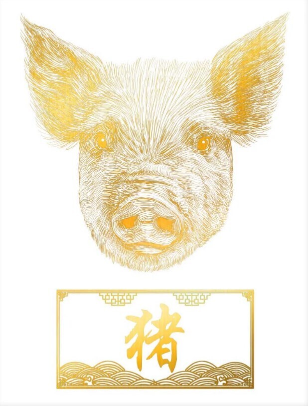 Pig Chinese Zodiac Foil Print