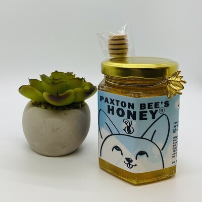 Paxton Bee's Raw Honey w/ Wand, 6oz