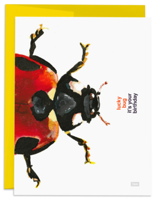 Ladybug Birthday Card (IN-GC-001A)