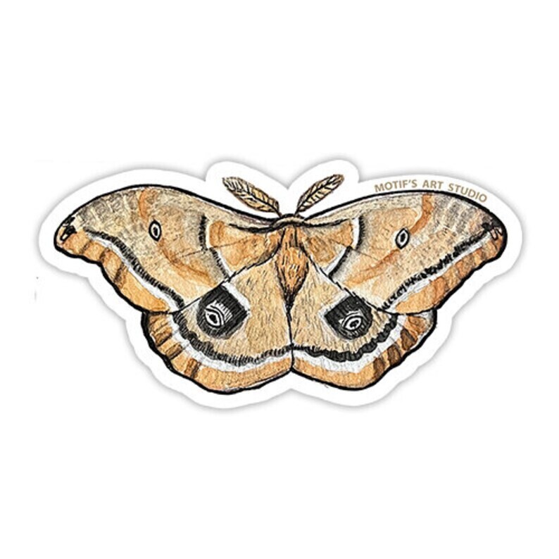 Silk Moth Sticker