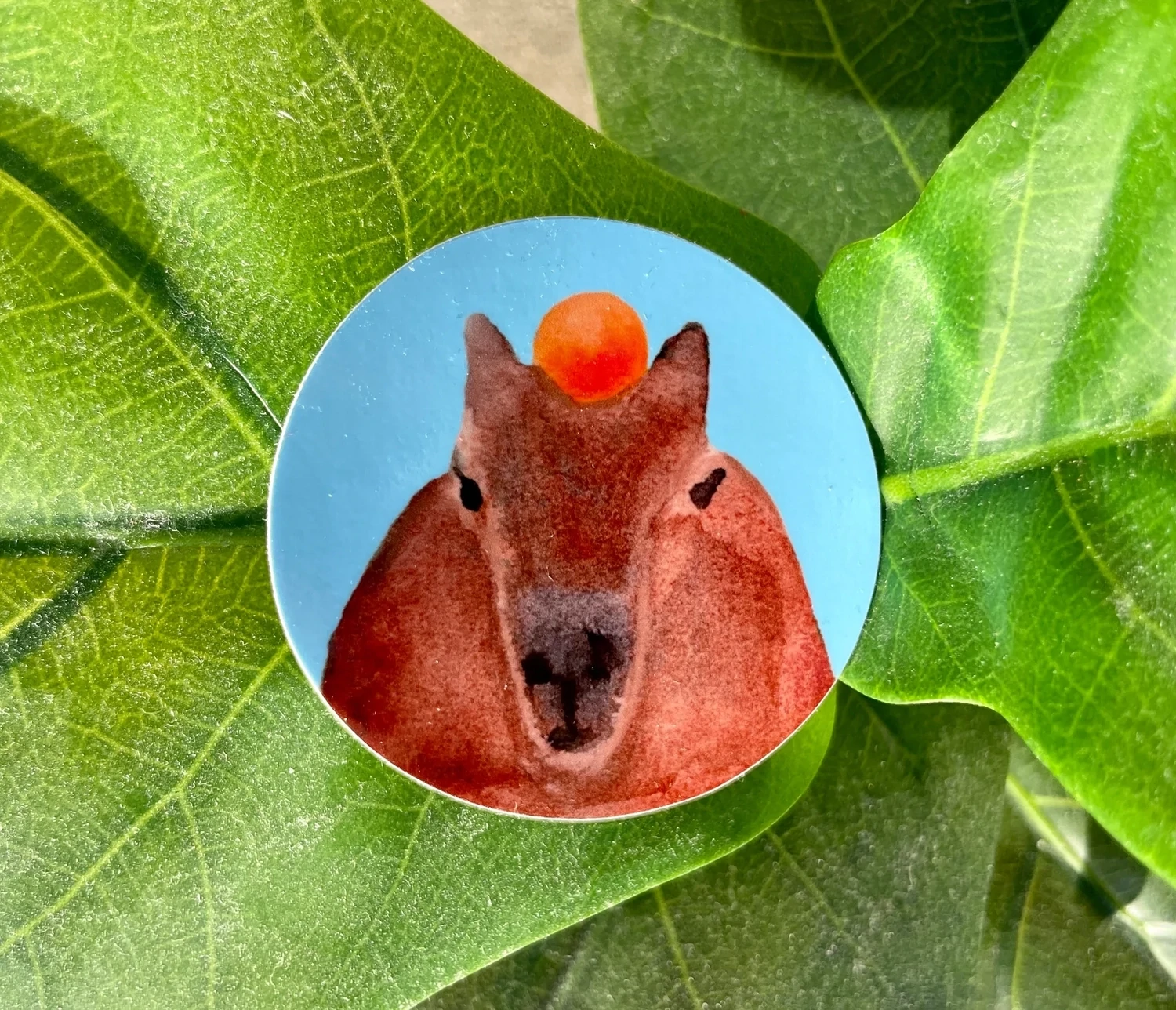Capybara & Orange Sticker