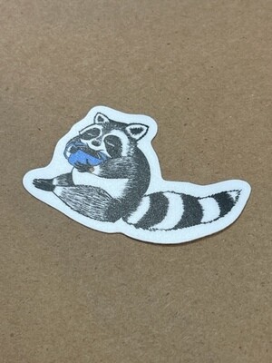 raccoon sticker (QTW)