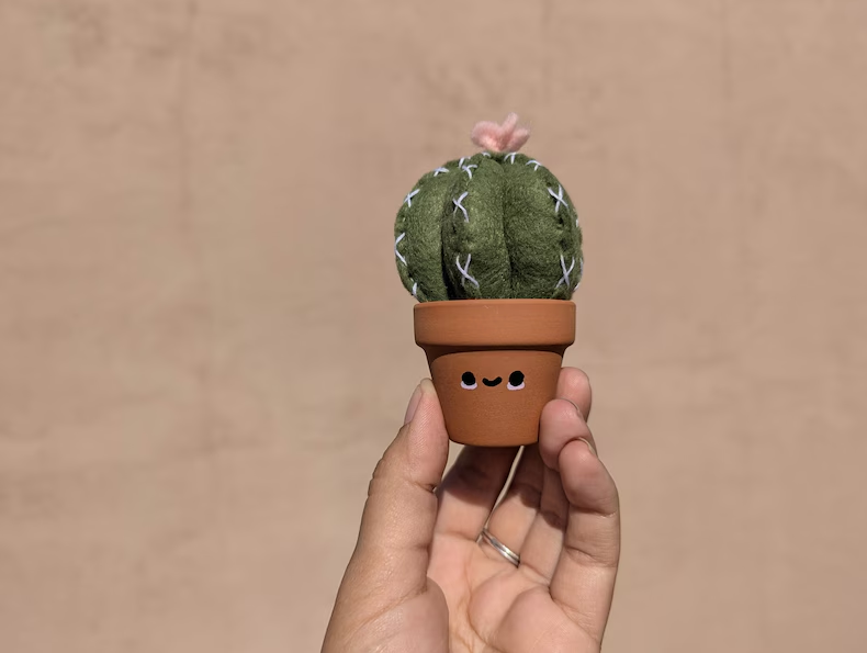 Mini Cactus Decor Mini Cactus Decor