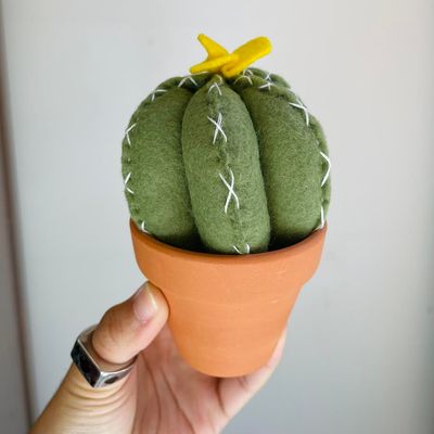Green Cactus Decor