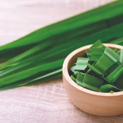 Pandan Mini Candle