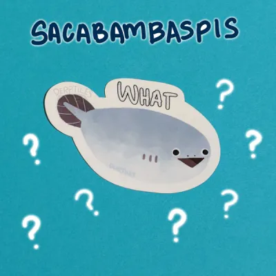 &quot;what&quot; Sacabambasbis Sticker