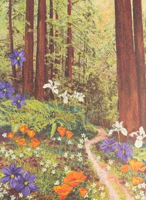 Golden Beams in Redwoods Puzzle (by Oakland Puzzle Company)