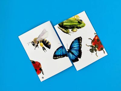 Critters 2 Notebook (CR-NB-002) Critters 2 Notebook (CR-NB-002)