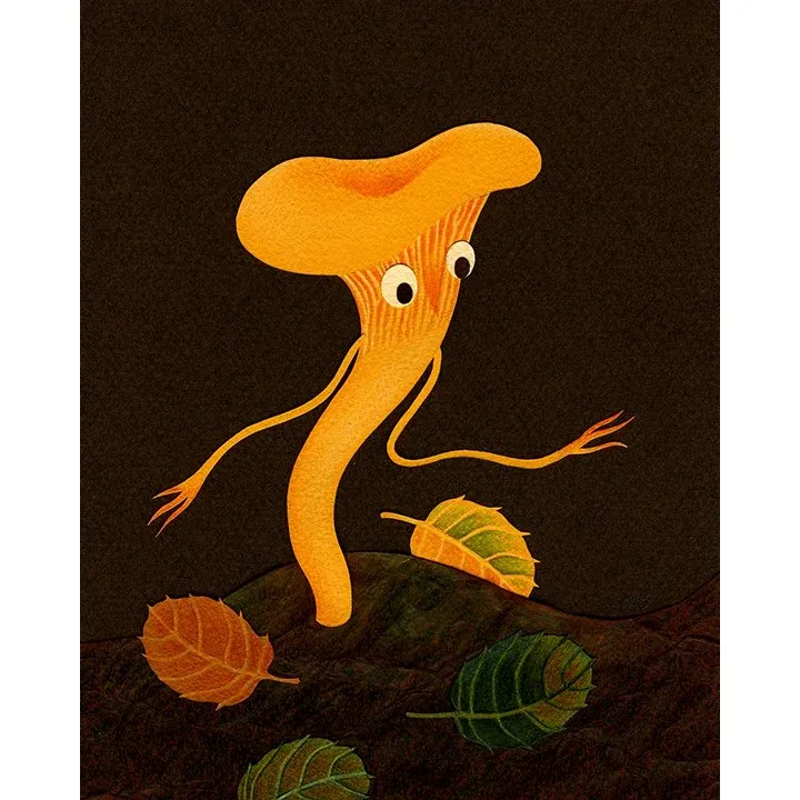 Chanterelle 8x10 Print