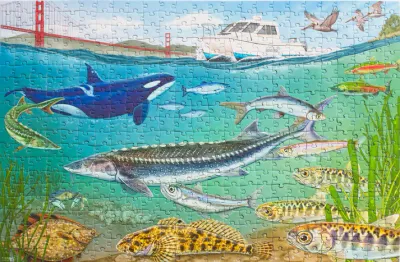 Under the Bay 500-Piece Puzzle (by Oakland Puzzle Company)