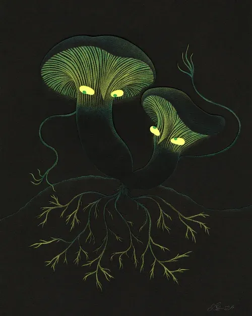 Jack-o-lantern Mushroom 8x10 Print Jack-o-lantern Mushroom 8x10 Print