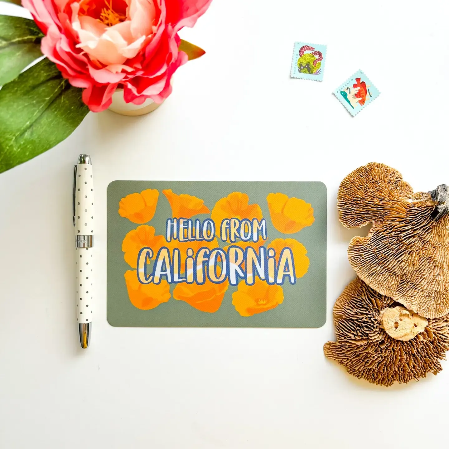 Hello From California Postcard (by Bean Horse Car Designs) Hello From California Postcard (by Bean Horse Car Designs)