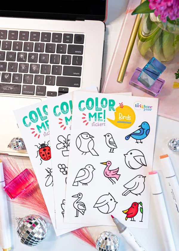 Sticker Sheet Gift Bundle