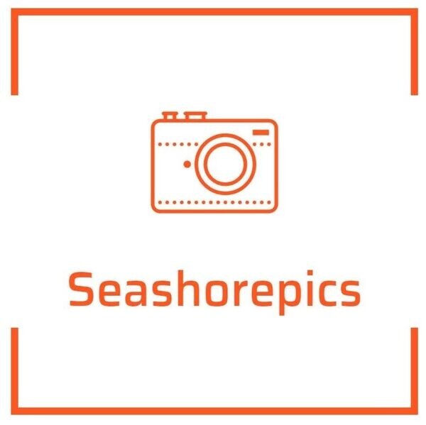 Seashorepics