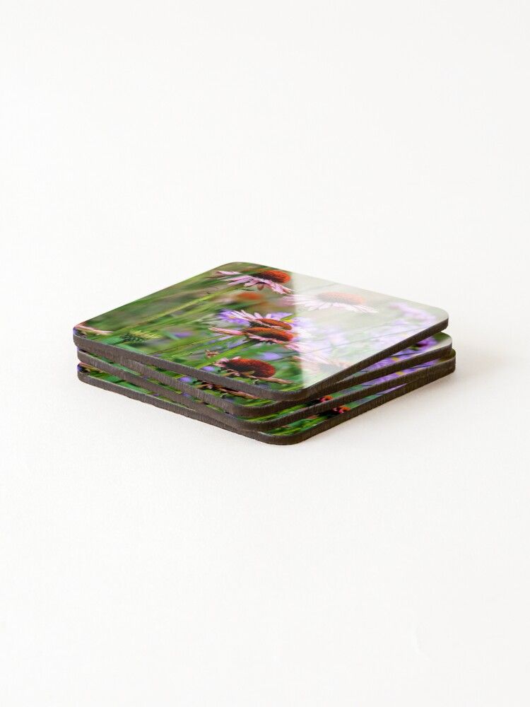 Coasters