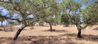 Kurse / Veranstaltungen