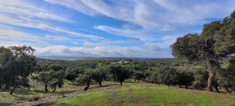 Weihnachtsaktivierung 2025 (Gruppensitzung am Quell des Lebens) Weihnachtsaktivierung 2025 (Gruppensitzung am Quell des Lebens)
