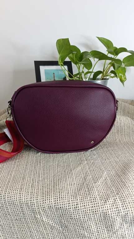 SEMILLA GM  Prune