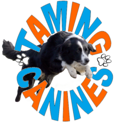 Taming Canines