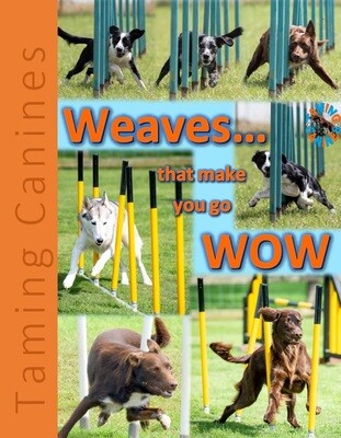 Weaves that make you go WOW EBook
