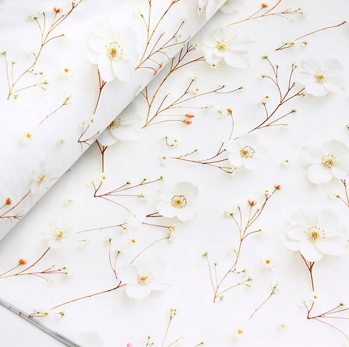 Tessuto di Cotone Ranfors "Fiore di ciliegio bianco con fiori secchi" larghezza 240 cm, Stampa 5D № SB-3601