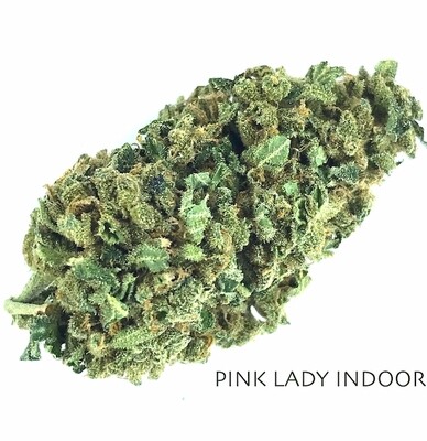 Pink Lady Indoor Marijuana Flowers