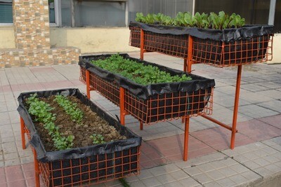 FresHerbal Ladder Leafy Greens