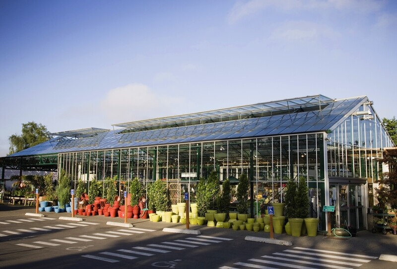 FresHerbal Nursery Plants