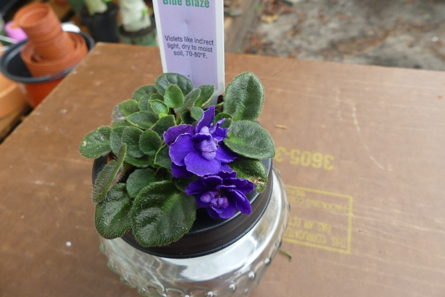 Blue Blaze