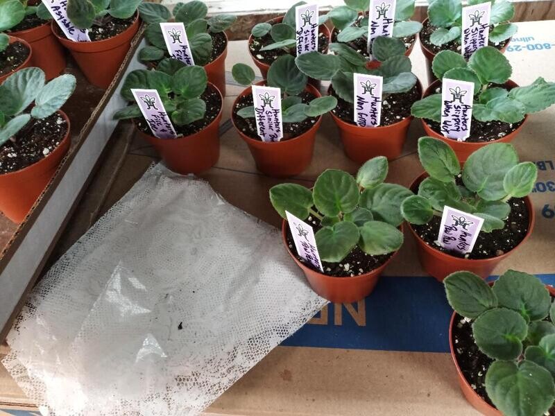 Hunter's Slippery When Wet