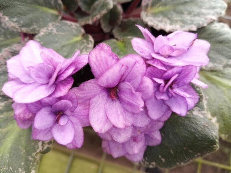 Fisherman's Paradise