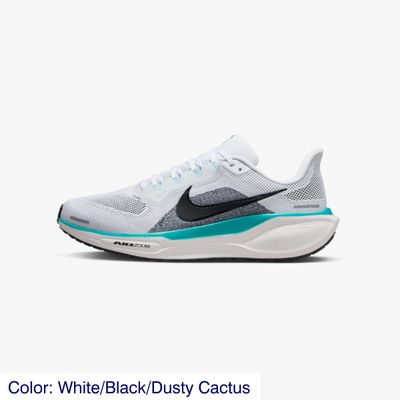 M Pegasus 41