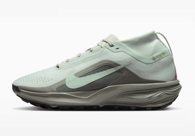 Men’s Nike ACG Pegasus Trail GTX