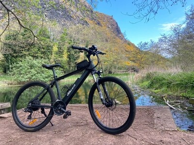 eBike 250Watt Rear Hub Motor