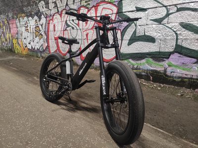 Custom Hand Built Fat eBike 750watt Rear Hub Drive (long Range Battery Optional)