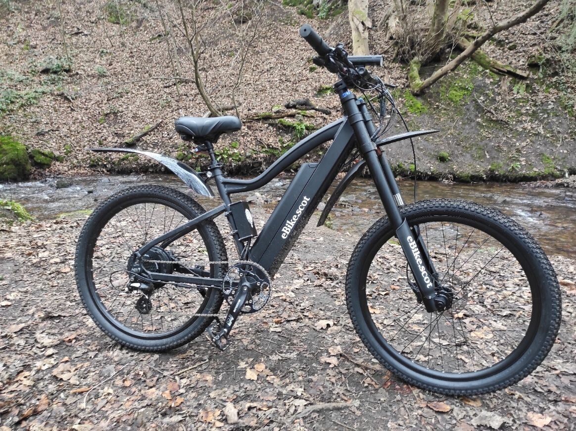 Custom Hand Built eMtb 500watt rear hub motor (long Range Battery Optional)