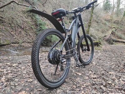 Custom Hand Built eMtb 500watt rear hub motor (long Range Battery Optional)