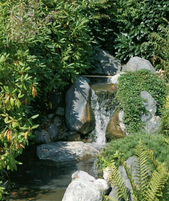 Solar Wasserfall Solarpumpe Bachlaufpumpe Solar Teich 25 W incl. Schlauch 3 m Länge Schlauch für Quellstein oder Bachlaufanschluß Solar Wasserfall Solarpumpe Bachlaufpumpe Solar Teich 25 W incl. Schlauch 3 m Länge Schlauch für Quellstein oder Bachlaufanschluß