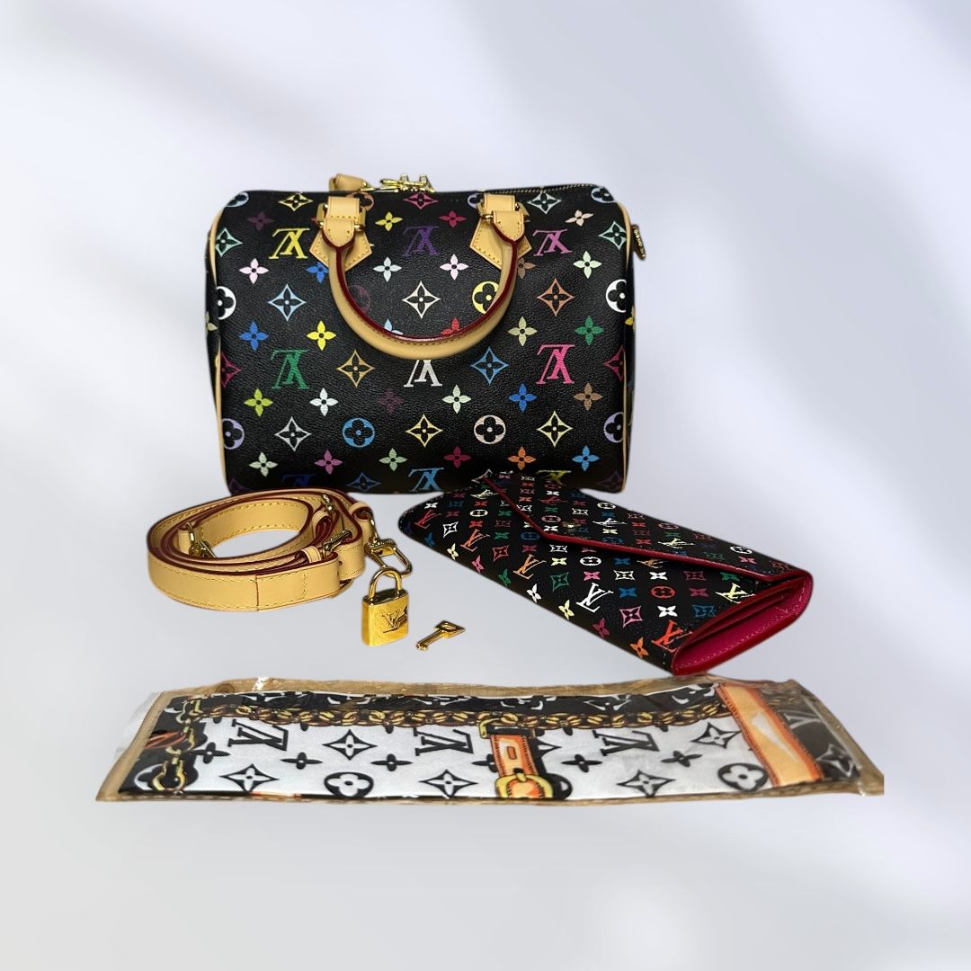 Louis Vuitton Multicolor Speedy Set