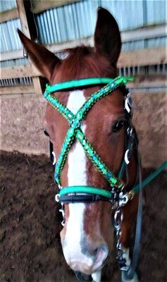 Medieval War Bridle