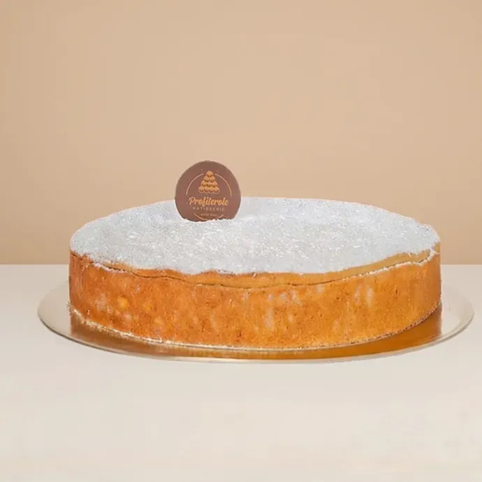 side view of a baked ricotta cheesecake topped with icing sugar